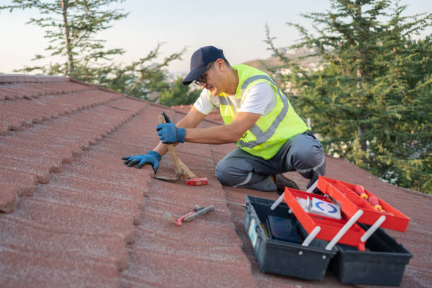 Roof Gutter Cleaning in Hemet, CA